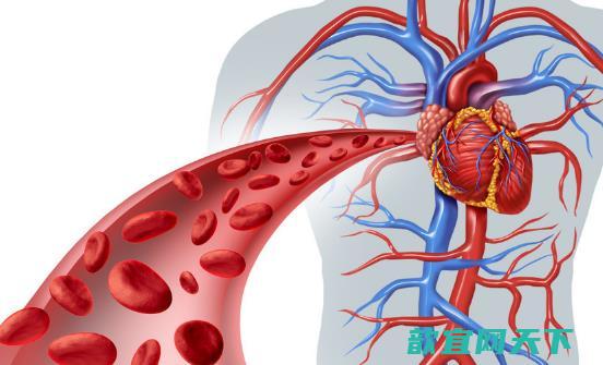 血管不通身体会报警 保持血管畅通应养成七个良好习惯