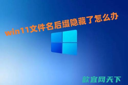 win11文件名后缀隐藏了怎么办_win11显示文件后缀名如何操作