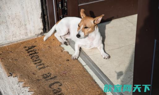 细菌入侵危害身体 十大容易出现细菌的地方