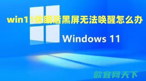 win11休眠后黑屏无法唤醒怎么办_win11睡眠无法唤醒黑屏解决方法