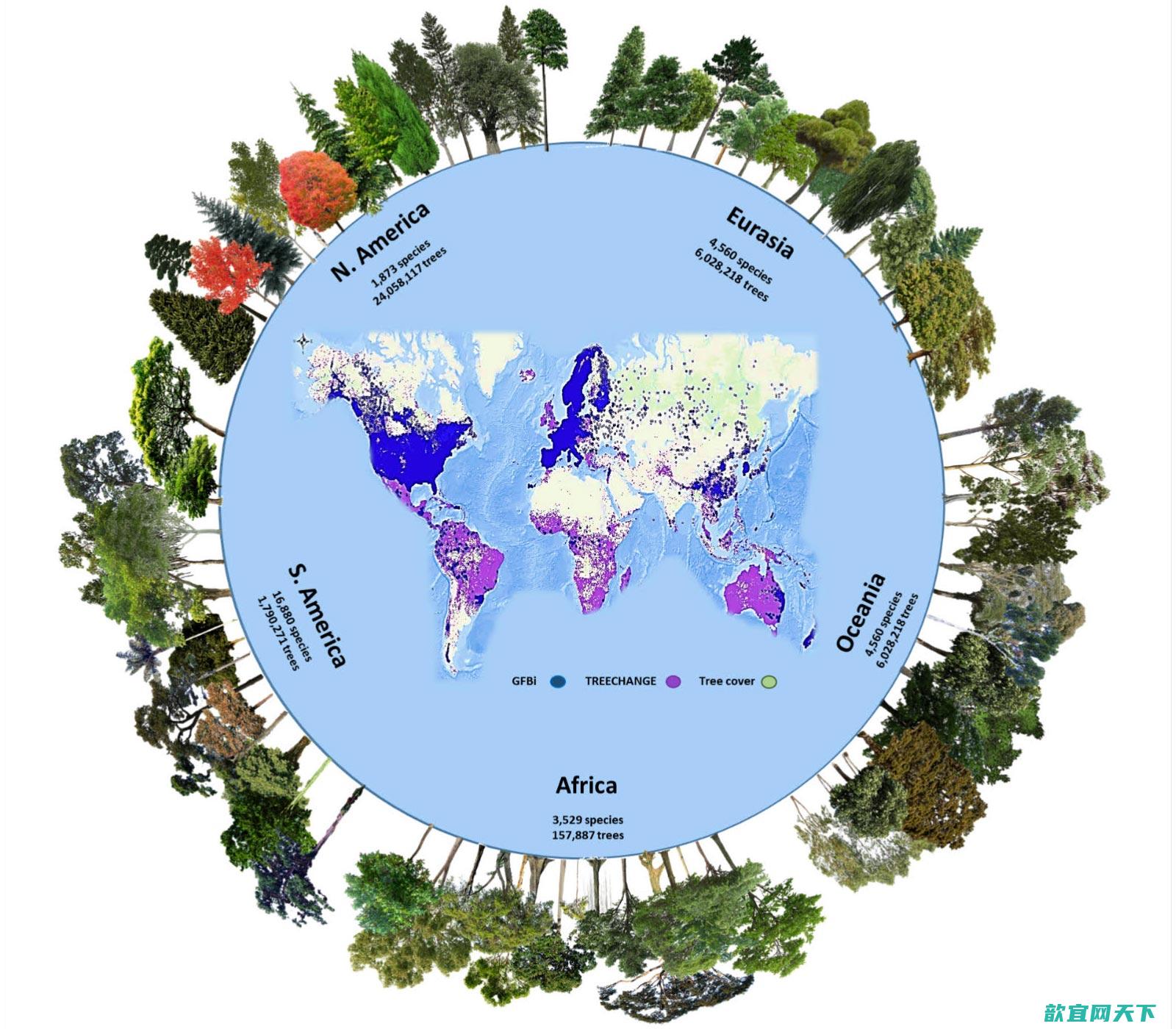 地球上约有73000个树种 包括大约9200个尚未发现的