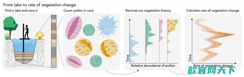 花粉化石的显示现在地球植被的变化比过去18000年的变化更快