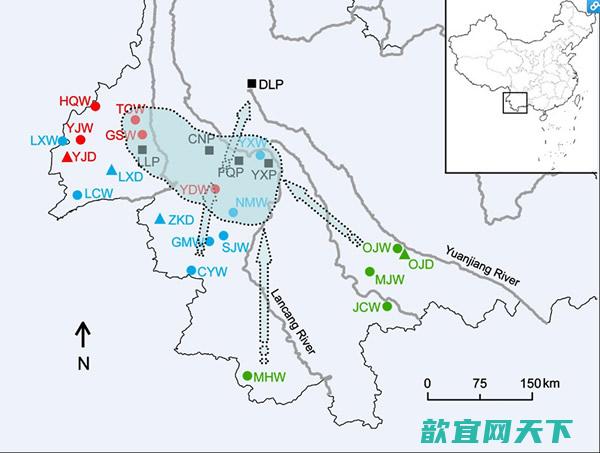 大理茶可能的栽培起源地（阴影）和传播路径（箭头）