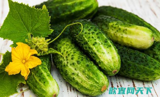 爱上黄瓜的11个理由 几道黄瓜快手菜夏日必备