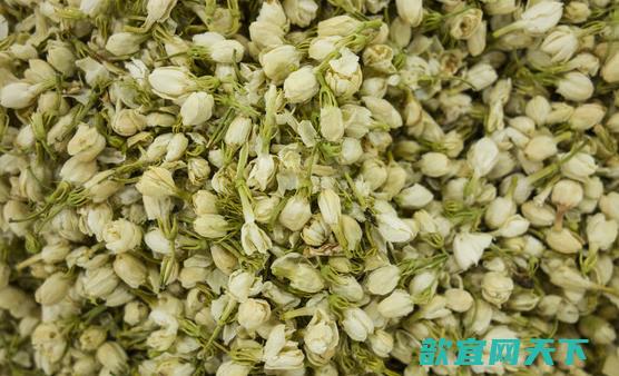 茉莉花能改善生活中的身体不适 关于茉莉花的药用功效