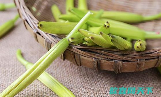 黄花菜的营养价值高黄花菜的美味吃法