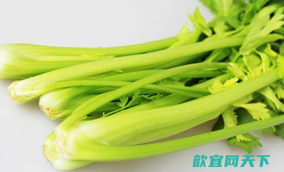 芹菜清热利湿 芹菜的5种制作烹饪方法