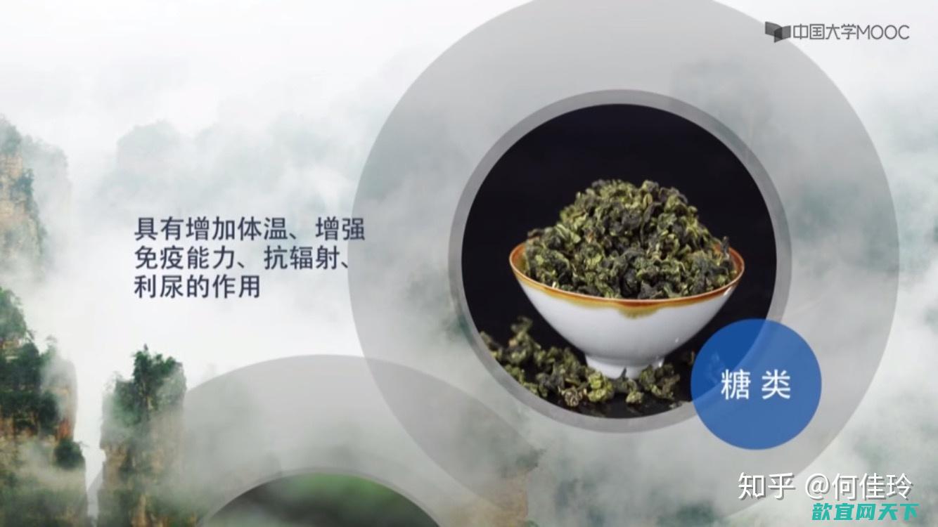 清热解毒的茶有哪些