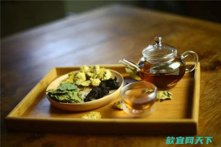 清热利湿茶怎么做？