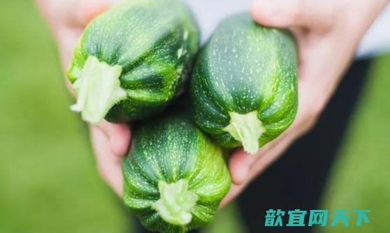 冰箱保存蔬菜 洗干净后再放冰箱会更好