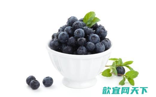 怎么挑选蓝莓？蓝莓怎么洗