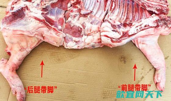 教你区分猪肉前腿肉和后腿肉图片 不同位置口感不一样别买错了