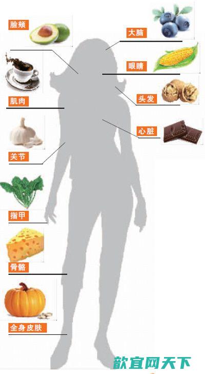 吃什么食物能抗衰老