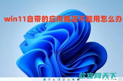 win11自带的应用商店不能用怎么办 win11应用商店打不开如何解决