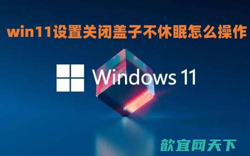 win11设置关闭盖子不休眠怎么操作 win11笔记本电脑关上盖子继续运行设置方法