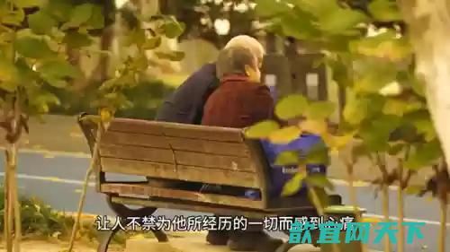 逐梦江湖阵容搭配(梦回三国阵容搭配)